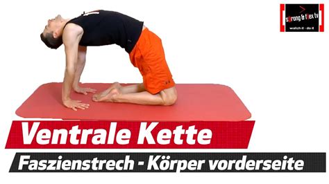 Faszien Stretching Routine Wirbels Ule Aufrichten Haltung