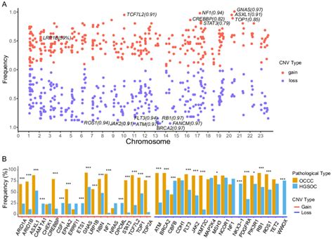 The Identify Of Copy Number Variations In Occc And The Comparing Of The