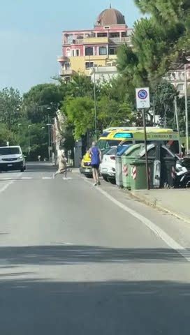 Ambulanza Suem Usll Emergenza On Target Alla Spiaggia Miramare