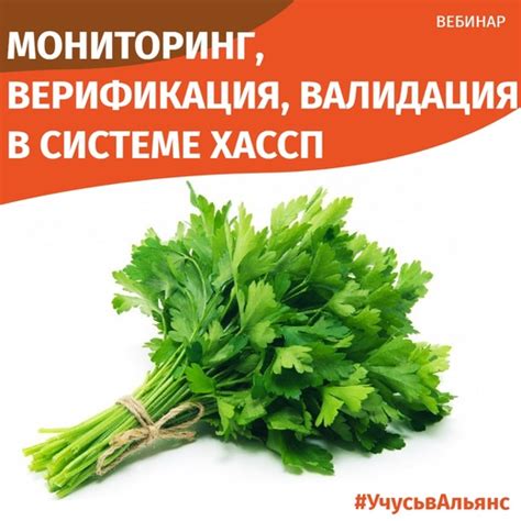 Мониторинг ХАССП - Учебный центр Альянс