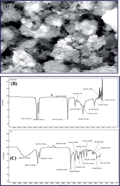 SEM Image A And FT IR Spectrum B And C Of Mn Doped ZnO