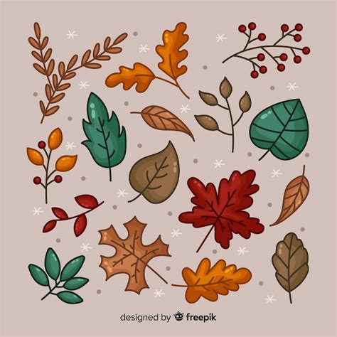 Free Vector Hand Drawn Autumn Forest Leaves Collection