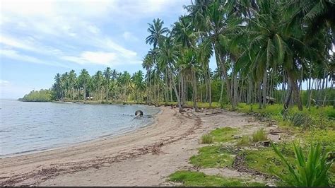 Beach Front Lot For Sale In Palawan Near National Highway Property