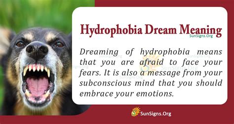 Dream About Hydrophobia Meaning Interpretation And Symbolism