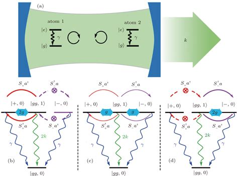 Dynamic Properties Of Atomic Collective Decay In Cavity Quantum