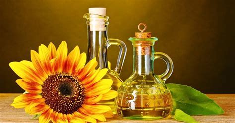 Подсолнечное масло для волос – польза и вред, состав, маска из ...