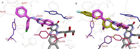 A The Binding Mode Of E Violet Within Mao B Active Site Showing