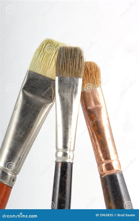 Paint Brushes Stock Image Image Of Brushes Studio Painter 2963835