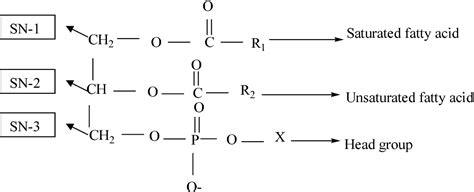 Figure From The Effect Of The Reducing Agent Triphenylphosphine On