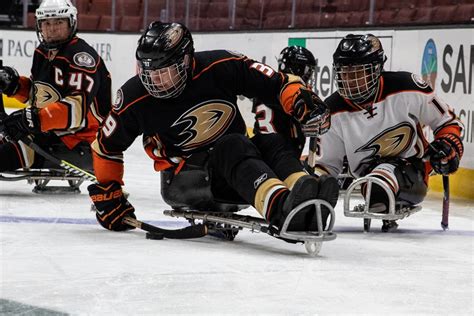 Pacific Sled Hockey League Tournament - Events - Great Park Ice ...