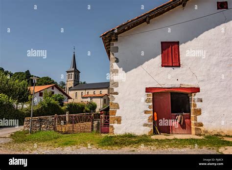 Cattle Town In The French Navarre And In The Vicinity Of Saint Palais