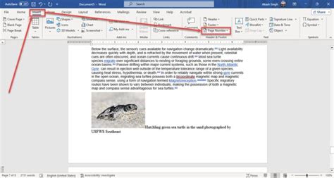 How To Add Page Numbers In Word