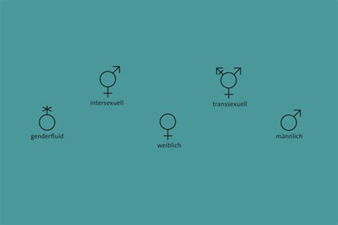 Sex Gender Campus Tour Der Universit T Hamburg