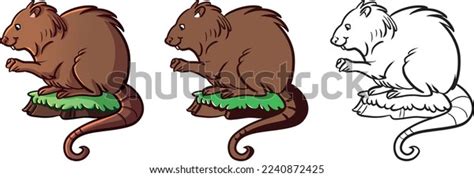 Wetland Animals Three Types Illustration Stock Vector (Royalty Free ...