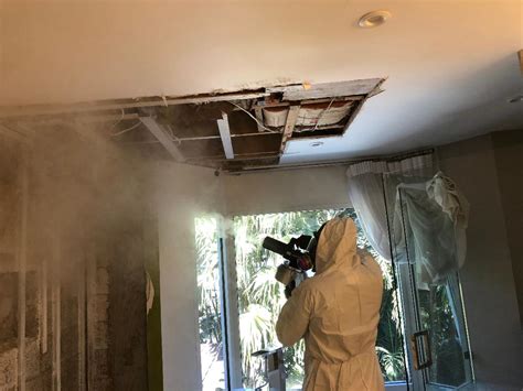 Mold Remediation Mold Remediation Mold Removal Water Restoration