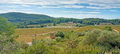 Terreno En Venta En Almirall S N Mas Alba Can Lloses Sant Pere De