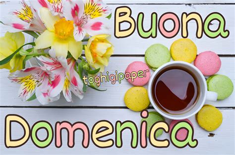 Buona Domenica Fiori ⋆ Toghigi♥Paper