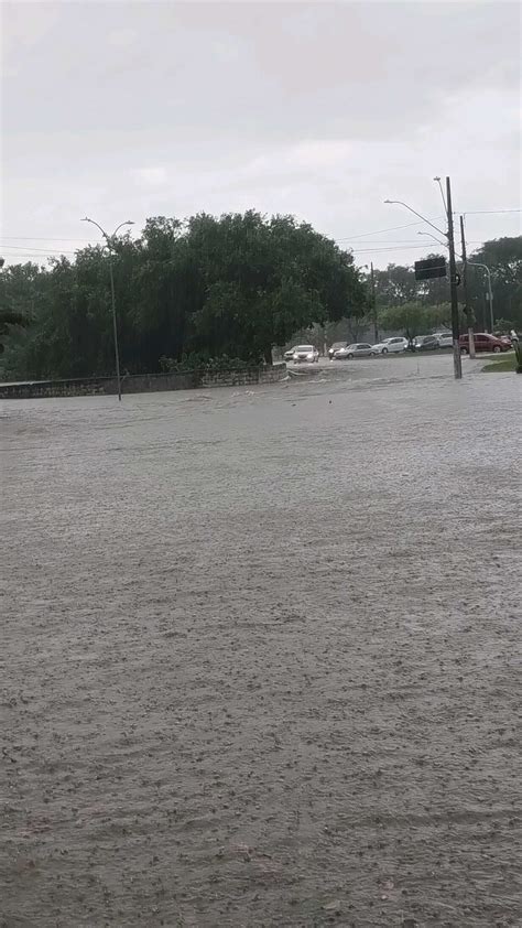 Tempestade causa alagamentos e quedas de árvores em diversos bairros de