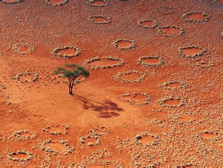 Svelato Il Segreto Dei Cerchi Delle Fate Le Scienze