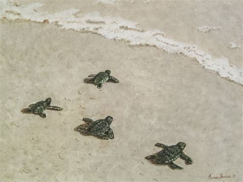 Baby Sea Turtle Painting at PaintingValley.com | Explore collection of ...