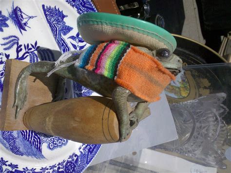 The Allee Willis Museum of Kitsch » Taxidermied Frog in Sombrero ...