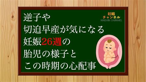 【妊娠26週】逆子や切迫早産になってませんか？妊娠26週の胎児の様子とこの時期の心配事 Youtube