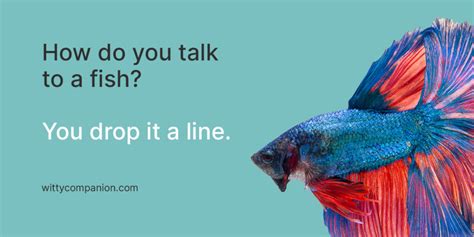 68 Hilarious Fish Jokes - Dive In & Laugh Your Guts Out!