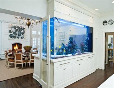 20 Most Unusual Fish Tank Designs For Office And Home