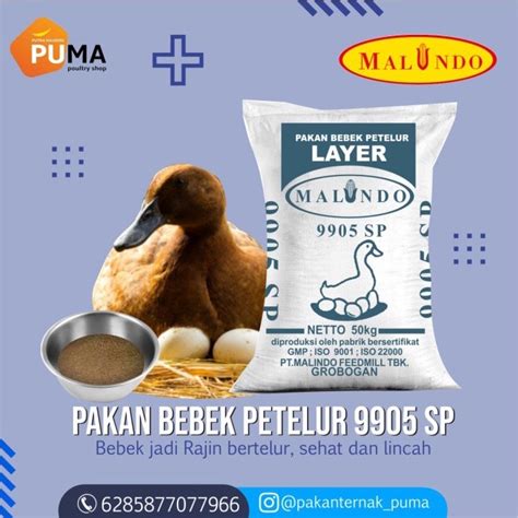 Jual PAKAN ITIK MALINDO 9905 PAKAN ITIK PETELUR PAKAN UNGGAS REPACK 1