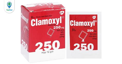 Thuốc Clamoxyl Amoxycillin Công Dụng Cách Dùng Và Lưu ý Youmed