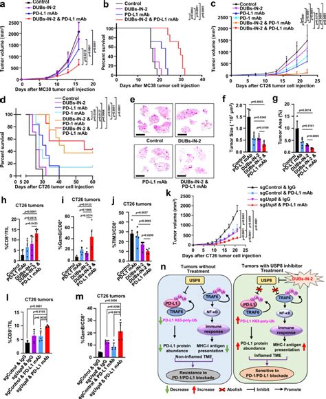 USP8 Inhibition Reshapes An Inflamed Tumor Microenvironment That