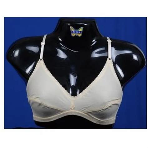 Ladies Bra In Chennai Tamil Nadu Ladies Bra Women Bra Price In Chennai