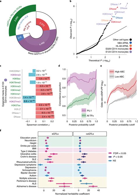 Genetic Regulation Of Chromatin Accessibility In Human Microglia A