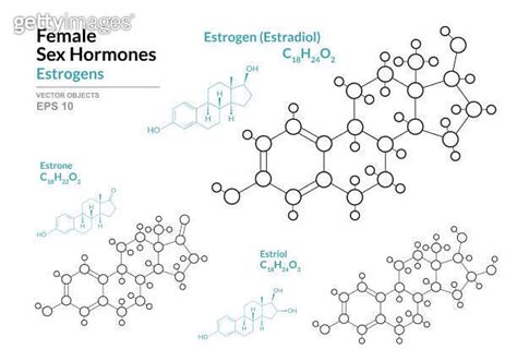 Estrogens Estradiol Estrone Estriol Female Sex Hormones Structural