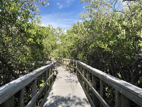 Indian Rocks Beach Nature Preserve The Green Dish Blog