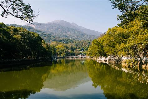 惠州罗浮山入选广东最美森林旅游目的地南方plus南方