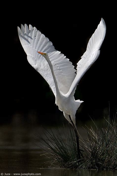 Где начинается вода: pictures_good — LiveJournal