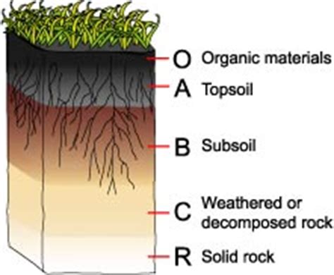 Soil Formation - Vista Heights 8th Grade Science