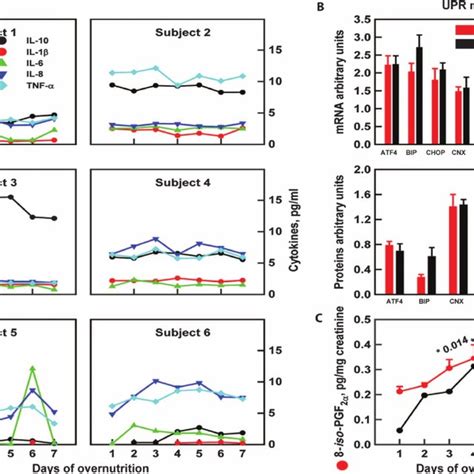 Connection Between Overnutrition Induced Insulin Resistance And