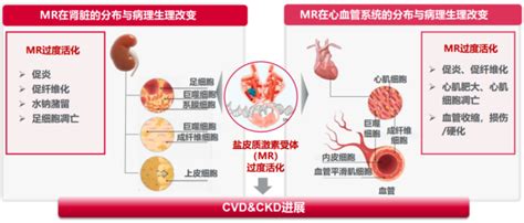 医脉通专访｜共话t2d相关ckd管理新策略，多措并举，助力共赢腾讯新闻