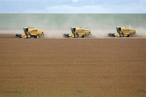 Mato Grosso já vendeu 34 6 da safra de soja esperada para 2021 22 diz