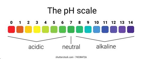 Soil Ph Scale