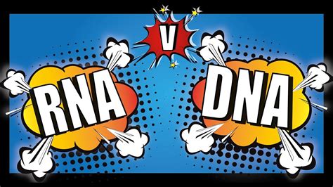 Rna Vs Dna For A Level Biology Table To Compare Dna And Rna Youtube