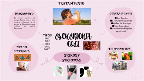 Mapa Mental De La Bacteria Escherichia Coli Pdf