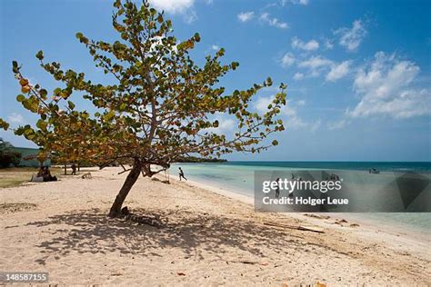 131 Playa Las Coloradas Stock Photos, High-Res Pictures, and Images - Getty Images