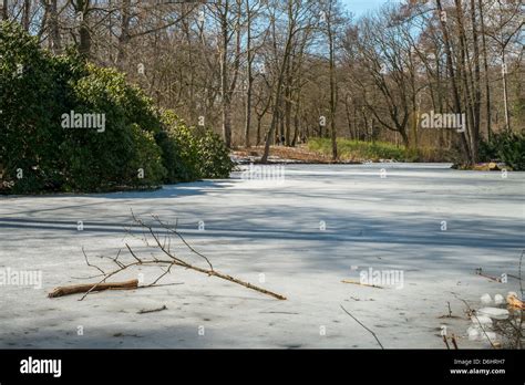 Berlins Famous Tiergarten Park Area Stock Photo Alamy