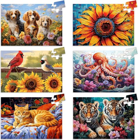 6 Packs Large Piece Puzzle For Seniors 36 Pieces Dementia