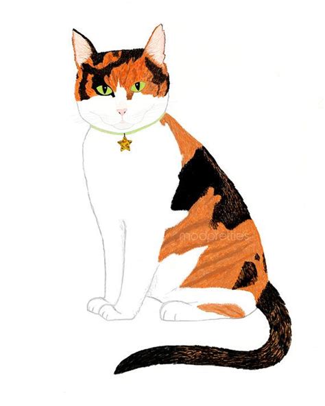 calico cat clipart 19 free Cliparts | Download images on Clipground 2025