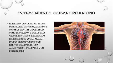 Enfermedades Del Sistema Circulatorio Biology Quizizz