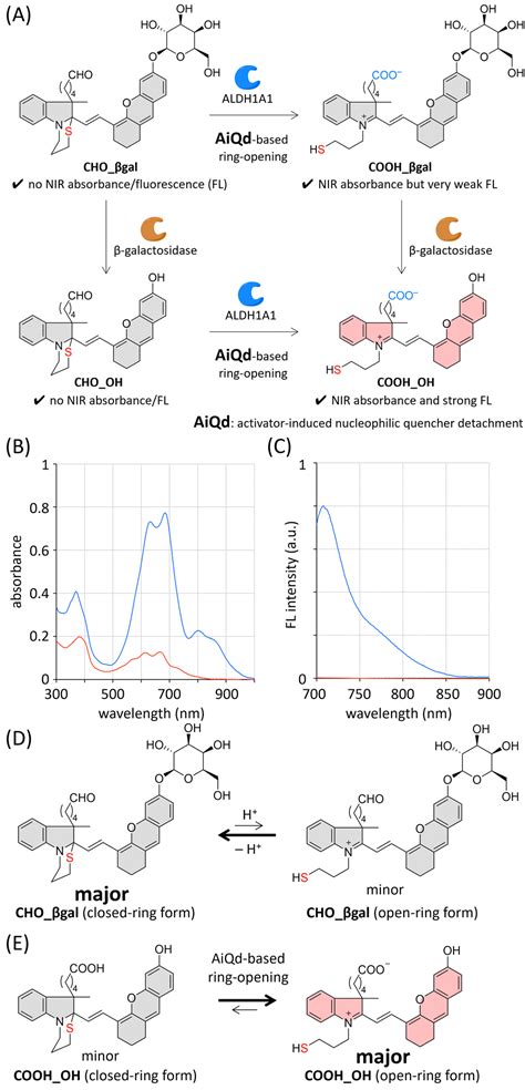 Dual Responsive Near Infrared Turn On Fluorescent Probe For Cancer Stem